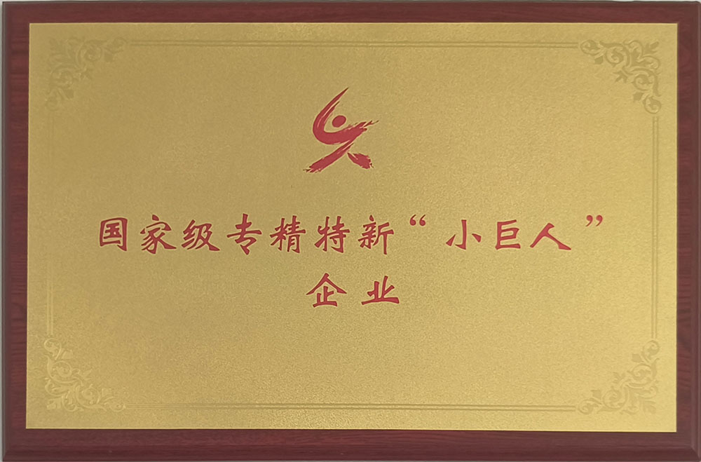 國家級專精特新“小巨人”企業